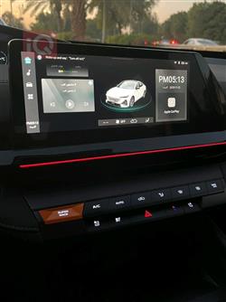 شانجان يوني في